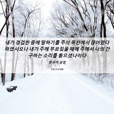 Picture 06 - 시편 31:22 KOR - 내가 경겁한 중에 말하기를 주의 - Bible Verse Picture