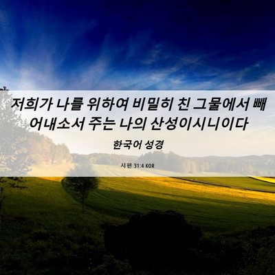 Picture 06 - 시편 31:4 KOR - 저희가 나를 위하여 비밀히 친 - Bible Verse Picture