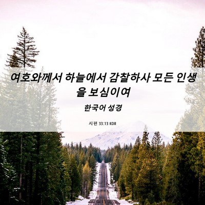 Picture 06 - 시편 33:13 KOR - 여호와께서 하늘에서 감찰하사 모든 - Bible Verse Picture