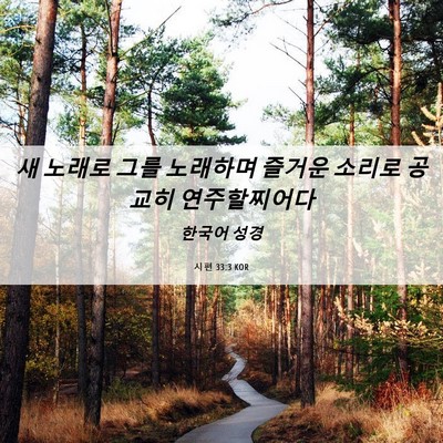 Picture 06 - 시편 33:3 KOR - 새 노래로 그를 노래하며 즐거운 - Bible Verse Picture