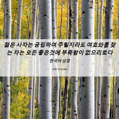 Picture 06 - 시편 34:10 KOR - 젊은 사자는 궁핍하여 주릴지라도 - Bible Verse Picture