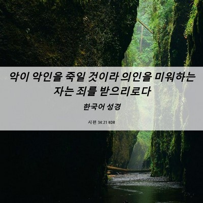Picture 06 - 시편 34:21 KOR - 악이 악인을 죽일 것이라 의인을 - Bible Verse Picture