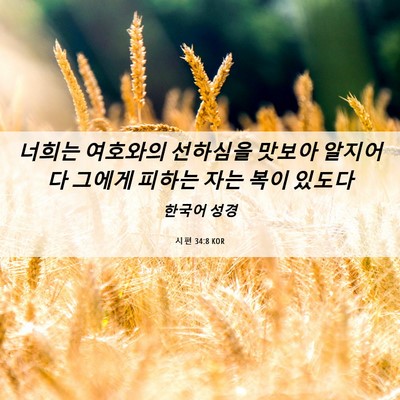Picture 06 - 시편 34:8 KOR - 너희는 여호와의 선하심을 맛보아 - Bible Verse Picture