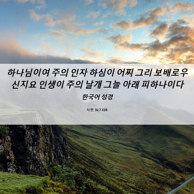 Picture 06 - 시편 36:7 KOR - 하나님이여 주의 인자 하심이 어찌 - Bible Verse Picture