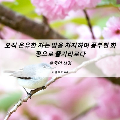 Picture 06 - 시편 37:11 KOR - 오직 온유한 자는 땅을 차지하며 - Bible Verse Picture