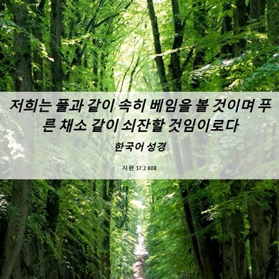 Picture 06 - 시편 37:2 KOR - 저희는 풀과 같이 속히 베임을 볼 - Bible Verse Picture
