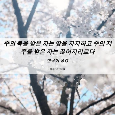 Picture 06 - 시편 37:22 KOR - 주의 복을 받은 자는 땅을 차지하고 - Bible Verse Picture