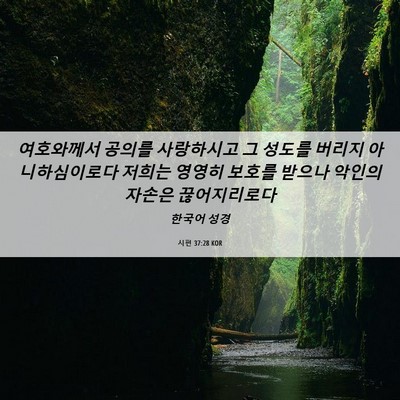 Picture 06 - 시편 37:28 KOR - 여호와께서 공의를 사랑하시고 그 - Bible Verse Picture