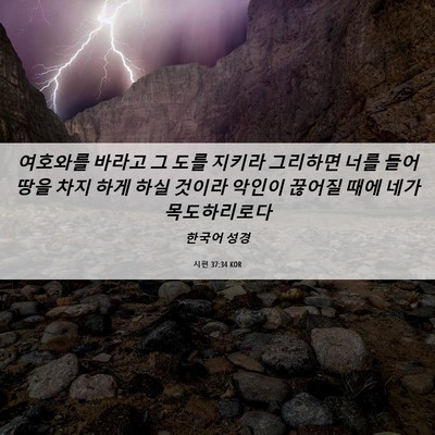 Picture 06 - 시편 37:34 KOR - 여호와를 바라고 그 도를 지키라 - Bible Verse Picture