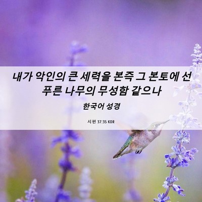 Picture 06 - 시편 37:35 KOR - 내가 악인의 큰 세력을 본즉 그 - Bible Verse Picture