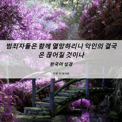 Picture 06 - 시편 37:38 KOR - 범죄자들은 함께 멸망하리니 악인의 - Bible Verse Picture