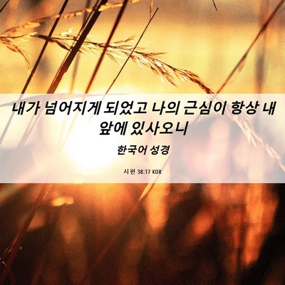 Picture 06 - 시편 38:17 KOR - 내가 넘어지게 되었고 나의 근심이 - Bible Verse Picture