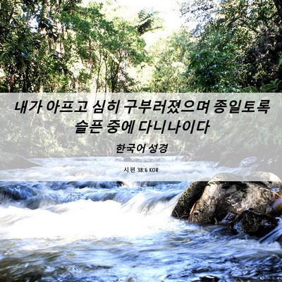 Picture 06 - 시편 38:6 KOR - 내가 아프고 심히 구부러졌으며 - Bible Verse Picture