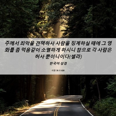 Picture 06 - 시편 39:11 KOR - 주께서 죄악을 견책하사 사람을 - Bible Verse Picture