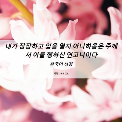 Picture 06 - 시편 39:9 KOR - 내가 잠잠하고 입을 열지 아니하옴은 - Bible Verse Picture