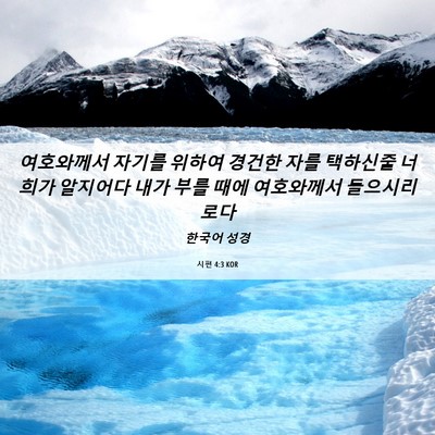 Picture 06 - 시편 4:3 KOR - 여호와께서 자기를 위하여 경건한 - Bible Verse Picture