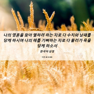 Picture 06 - 시편 40:14 KOR - 나의 영혼을 찾아 멸하려 하는 자로 - Bible Verse Picture