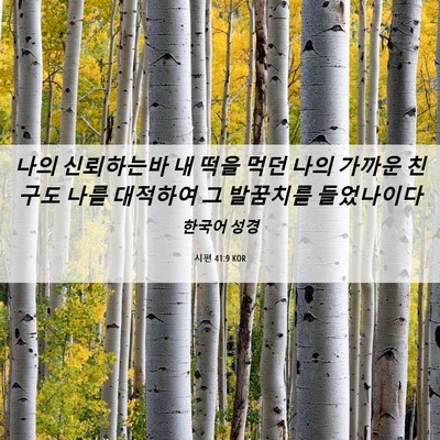 Picture 06 - 시편 41:9 KOR - 나의 신뢰하는바 내 떡을 먹던 나의 - Bible Verse Picture
