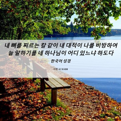 Picture 06 - 시편 42:10 KOR - 내 뼈를 찌르는 칼 같이 내 대적이 - Bible Verse Picture
