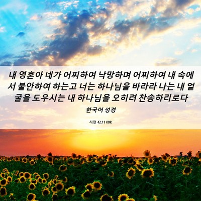 Picture 06 - 시편 42:11 KOR - 내 영혼아 네가 어찌하여 낙망하며 - Bible Verse Picture