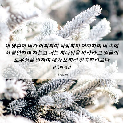 Picture 06 - 시편 42:5 KOR - 내 영혼아 네가 어찌하여 낙망하며 - Bible Verse Picture