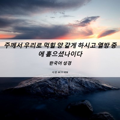 Picture 06 - 시편 44:11 KOR - 주께서 우리로 먹힐 양 같게 하시고 - Bible Verse Picture