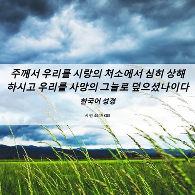 Picture 06 - 시편 44:19 KOR - 주께서 우리를 시랑의 처소에서 심히 - Bible Verse Picture