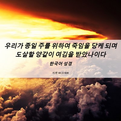 Picture 06 - 시편 44:22 KOR - 우리가 종일 주를 위하여 죽임을 - Bible Verse Picture
