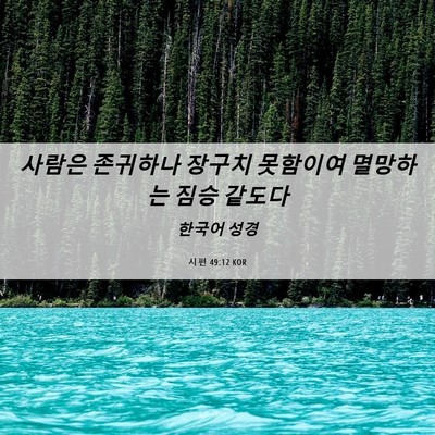 Picture 06 - 시편 49:12 KOR - 사람은 존귀하나 장구치 못함이여 - Bible Verse Picture