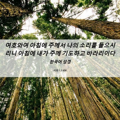 Picture 06 - 시편 5:3 KOR - 여호와여 아침에 주께서 나의 소리를 - Bible Verse Picture