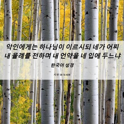Picture 06 - 시편 50:16 KOR - 악인에게는 하나님이 이르시되 네가 - Bible Verse Picture