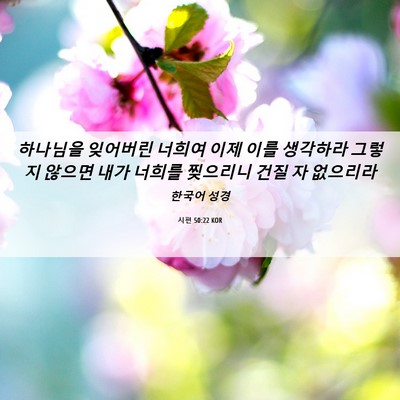 Picture 06 - 시편 50:22 KOR - 하나님을 잊어버린 너희여 이제 이를 - Bible Verse Picture