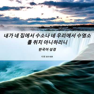 Picture 06 - 시편 50:9 KOR - 내가 네 집에서 수소나 네 우리에서 - Bible Verse Picture