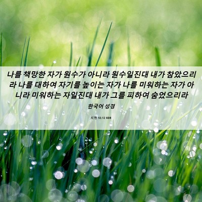 Picture 06 - 시편 55:12 KOR - 나를 책망한 자가 원수가 아니라 - Bible Verse Picture