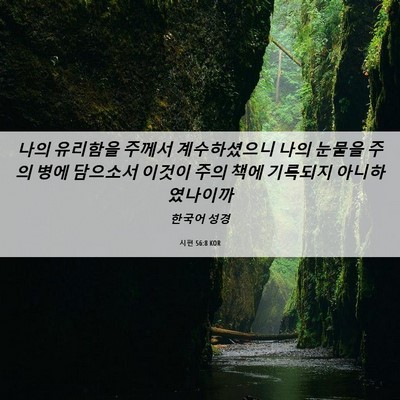 Picture 06 - 시편 56:8 KOR - 나의 유리함을 주께서 계수하셨으니 - Bible Verse Picture
