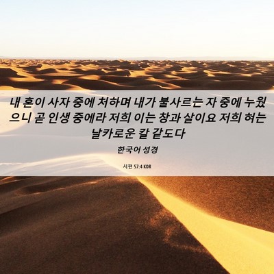 Picture 06 - 시편 57:4 KOR - 내 혼이 사자 중에 처하며 내가 - Bible Verse Picture
