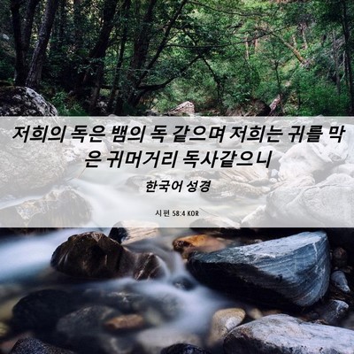 Picture 06 - 시편 58:4 KOR - 저희의 독은 뱀의 독 같으며 저희는 - Bible Verse Picture