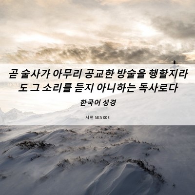 Picture 06 - 시편 58:5 KOR - 곧 술사가 아무리 공교한 방술을 - Bible Verse Picture