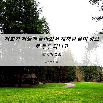 Picture 06 - 시편 59:6 KOR - 저희가 저물게 돌아와서 개처럼 울며 - Bible Verse Picture