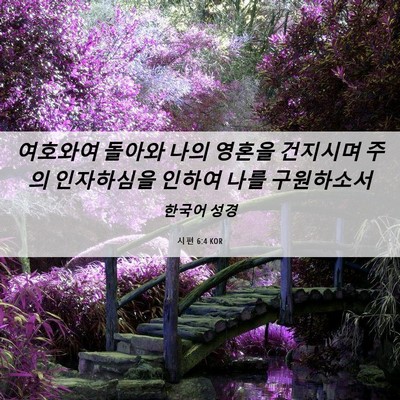 Picture 06 - 시편 6:4 KOR - 여호와여 돌아와 나의 영혼을 - Bible Verse Picture