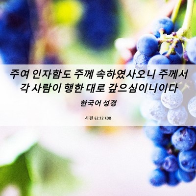 Picture 06 - 시편 62:12 KOR - 주여 인자함도 주께 속하였사오니 - Bible Verse Picture