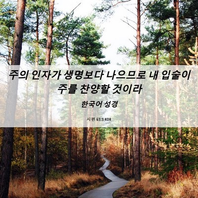 Picture 06 - 시편 63:3 KOR - 주의 인자가 생명보다 나으므로 내 - Bible Verse Picture
