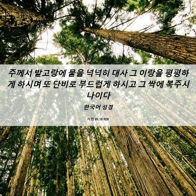 Picture 06 - 시편 65:10 KOR - 주께서 밭고랑에 물을 넉넉히 대사 - Bible Verse Picture
