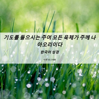 Picture 06 - 시편 65:2 KOR - 기도를 들으시는 주여 모든 육체가 - Bible Verse Picture