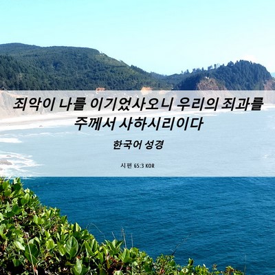 Picture 06 - 시편 65:3 KOR - 죄악이 나를 이기었사오니 우리의 - Bible Verse Picture