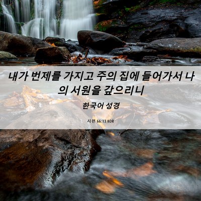 Picture 06 - 시편 66:13 KOR - 내가 번제를 가지고 주의 집에 - Bible Verse Picture