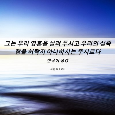 Picture 06 - 시편 66:9 KOR - 그는 우리 영혼을 살려 두시고 - Bible Verse Picture