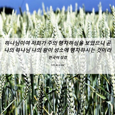 Picture 06 - 시편 68:24 KOR - 하나님이여 저희가 주의 행차하심을 - Bible Verse Picture