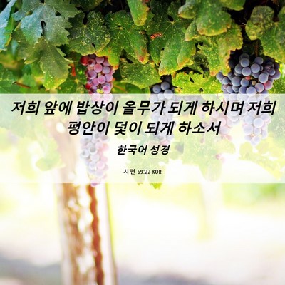 Picture 06 - 시편 69:22 KOR - 저희 앞에 밥상이 올무가 되게 - Bible Verse Picture