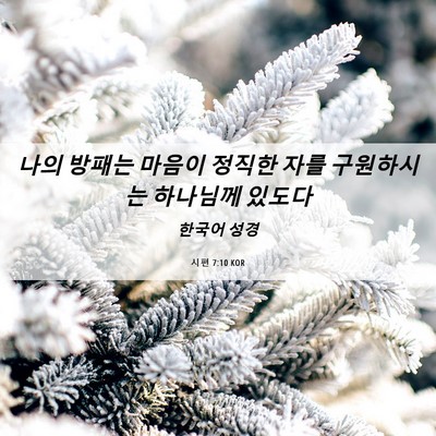 Picture 06 - 시편 7:10 KOR - 나의 방패는 마음이 정직한 자를 - Bible Verse Picture